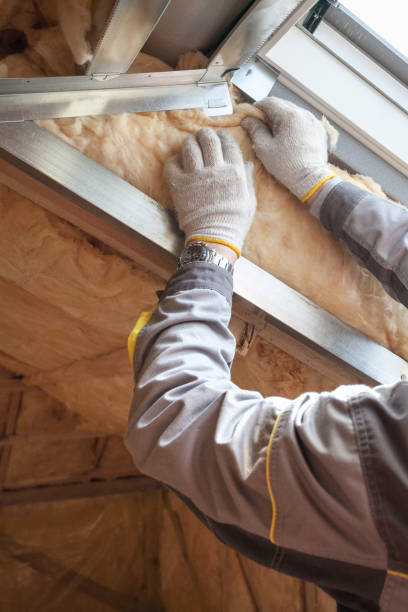 Best Insulation Air Sealing  in Jacksonvle, IL