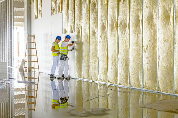 Eco-Friendly or Green Insulation Solutions in Jacksonville, IL